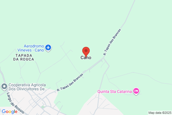 Cano Castro m.