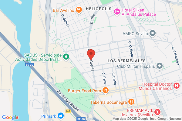 Servicios Informaticos Y Economicos S.L.