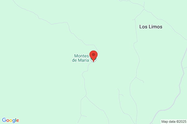 Orden Compañia De Maria