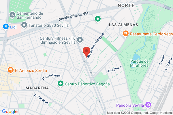 Centro Adultos Pino-Montano