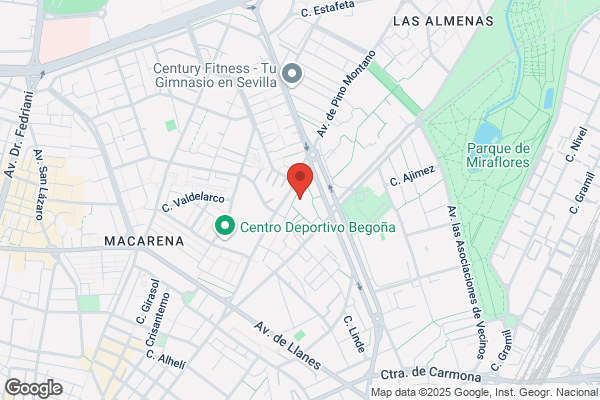 Colegio Pino Flores