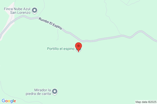 Espino Portillo m. A.
