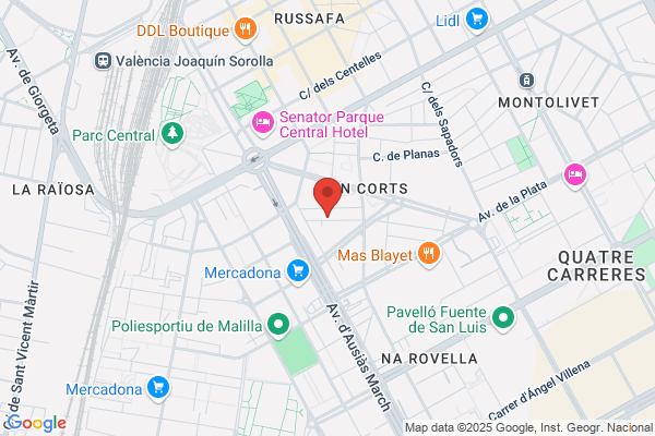 Servicios Profesionales En Internet S.L.