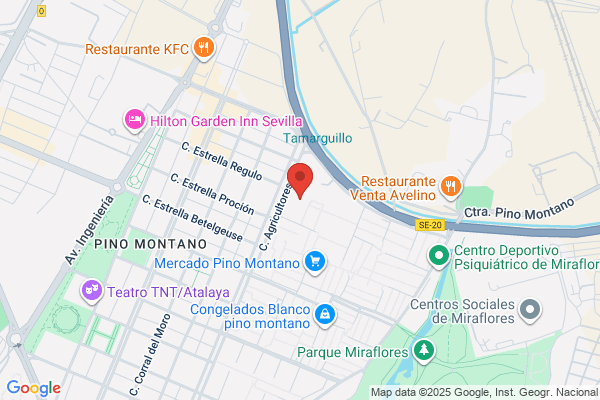 Colegio Licenciados Bellas Artes