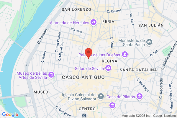 Colegio Oficial De Graduados Sociales De Sevilla