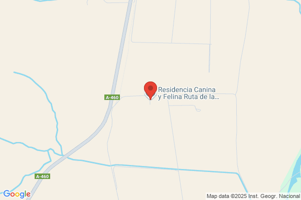Residencia De Mayores El Cachorro S. L.