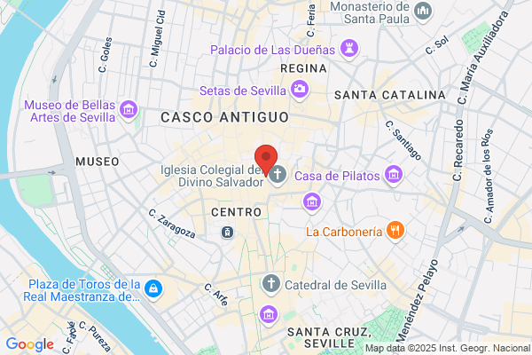 Arenas Salguero j. M.
