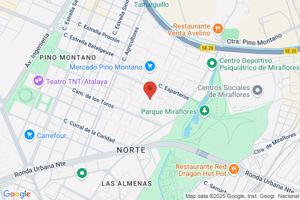 Libreria Pino Montano