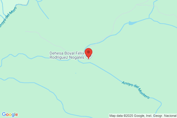 Nogales r. Rodriguez