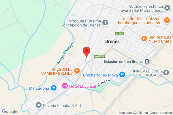 Brenes Vega t.