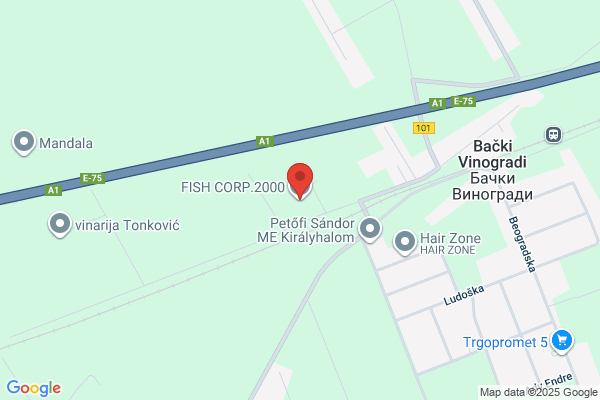 Fish Corp S.L.
