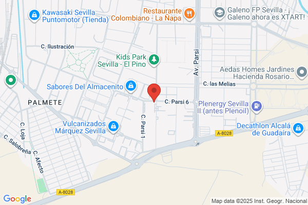 Consur S. A.