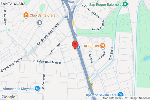 Contasur Contadores Del Sur S.A.