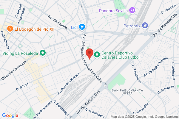 Instituto De Psicoterapia Psicoanalitica S.C.
