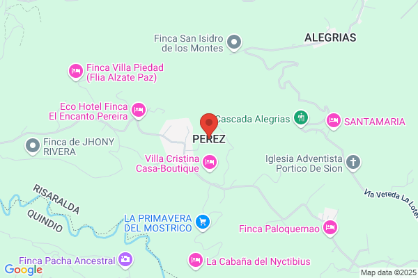 Pereira Perez r. M.