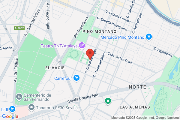Pulpon Junior S.L.