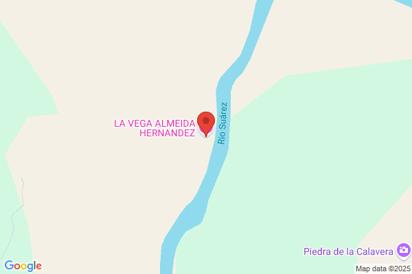 Hernandez De La Vega j.