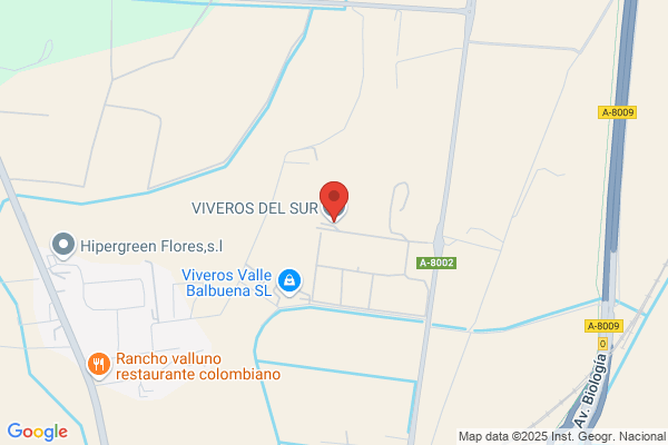 Viveros Del Sur S.Cv.
