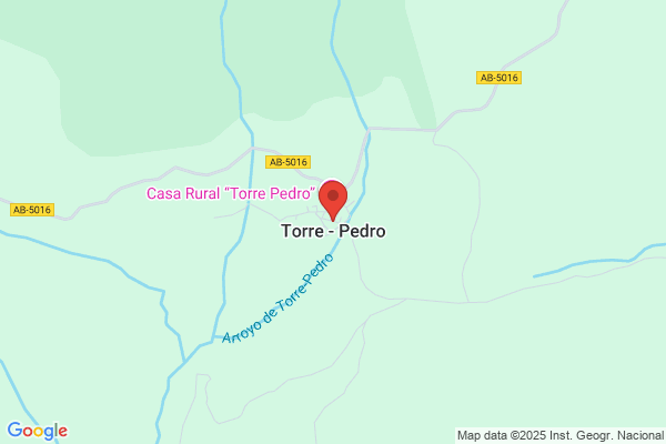 PEDRO DE LA TORRE MUÑOZ
