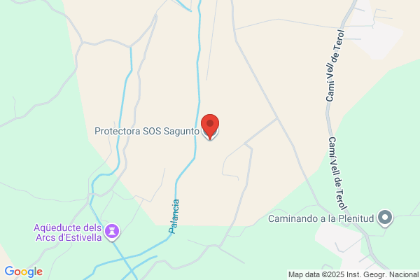 Asociacion Comarcal Protectora De Subnormales Virgen De los Desamp