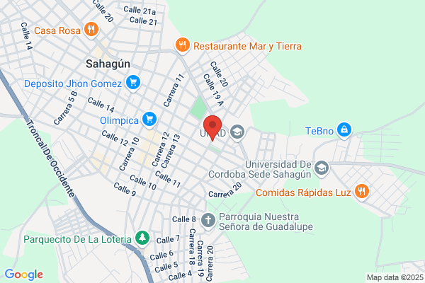 Escuela De Conductores Sahagun