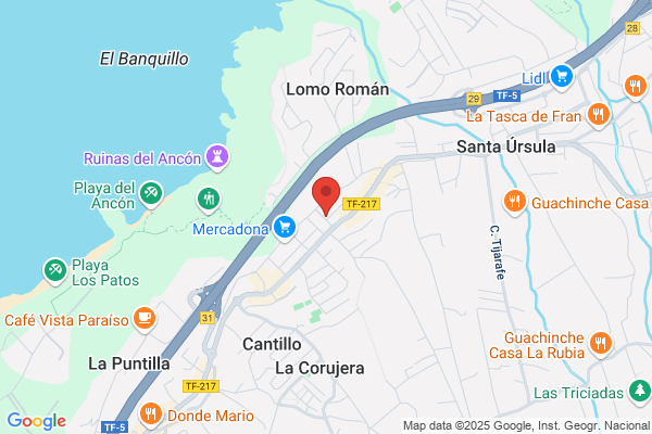 Foncal Vega S.L.