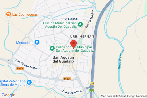 San Agustin Servicios Y Gestiones S.L.