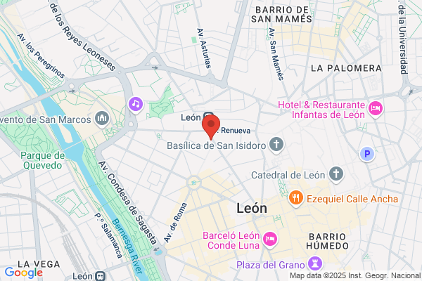 INMOBILIARIAS EN LEÓN DUARTE & PARTNER REAL ESTATE