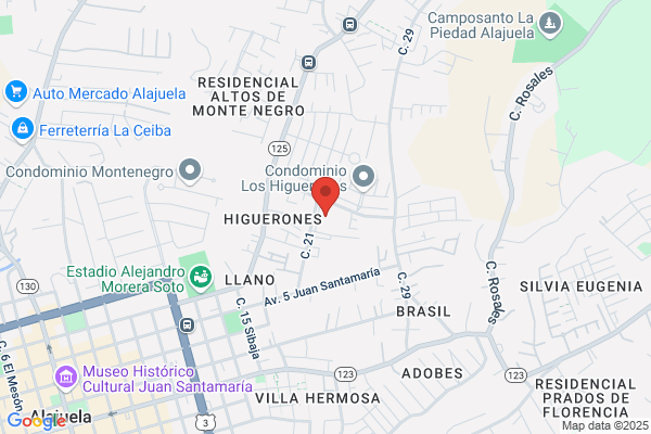 Rodriguez Conejo c.