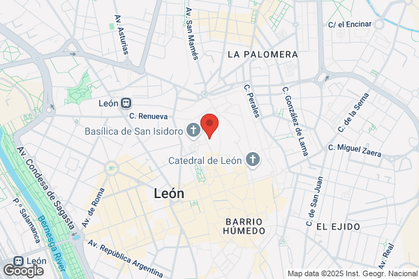 Colegio Leones S.L.