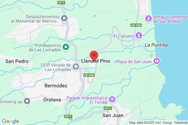 Gonzalez Del Pino m. D.
