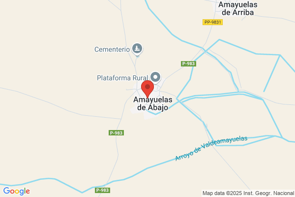 EL PATIO DE AMAYUELAS