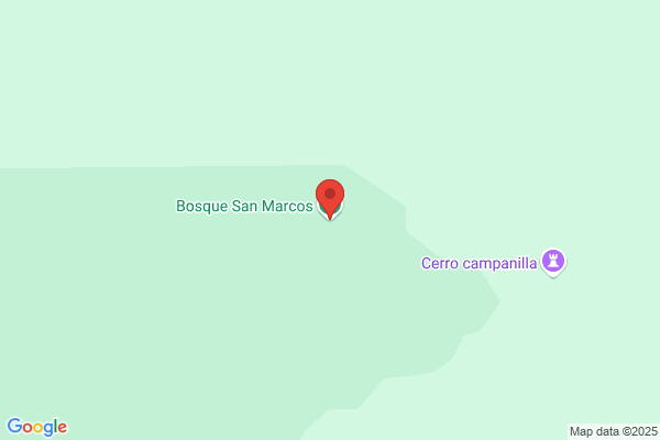 Bosque Marcos m. Del