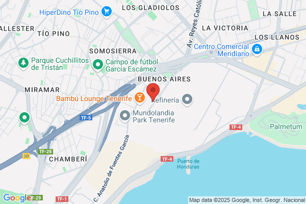 René Servicios
