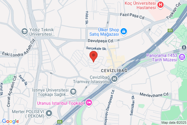 BEYNI