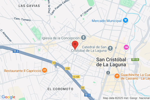 Inmobiliaria Carlos Alonso S.L.U.