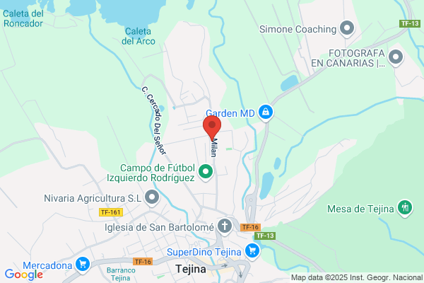 Franye Tenerife. Mecánico. Limpieza Revisiones Frenos Aire Acondicionado De Inyección De Motores