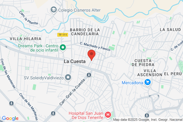 SERVICIOS DE LIMPIEZA PILAR HERNANDEZ