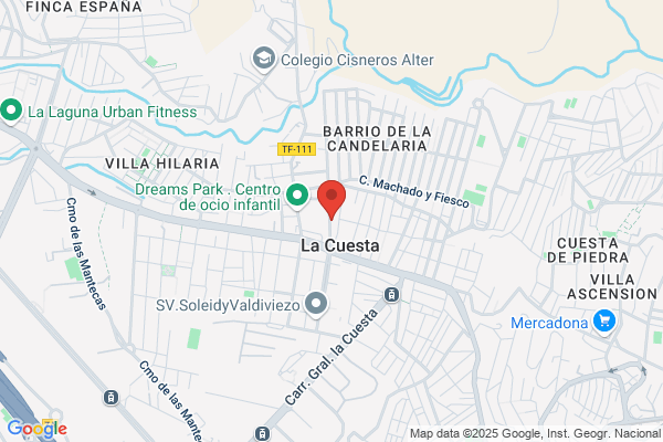 ASISTENCIA INTEGRAL CANARIA
