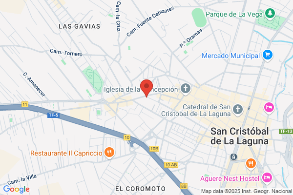 Guau Centro Canino