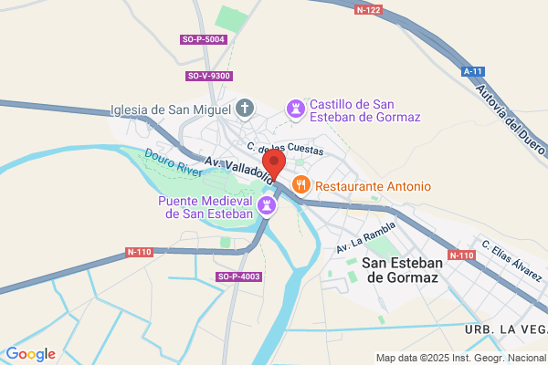 Meson La Puerta De Castilla