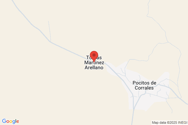 Arellano Martinez-Aedo j. R.