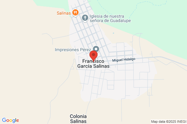 Garcia Salinas f.