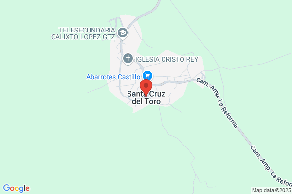 Toro Cruz c. Del