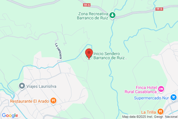 Ruiz Cedres f.