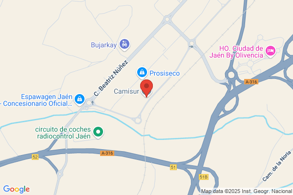 Camiosur S. A.