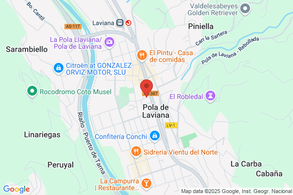 LA CUENCA DEL NALÓN