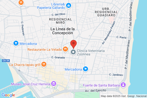 Bar Cafeteria Olimpia
