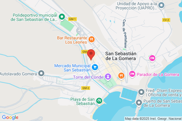 Agrupacion Gomera Independiente