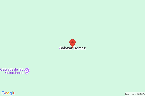 Gomez Salazar c. R.